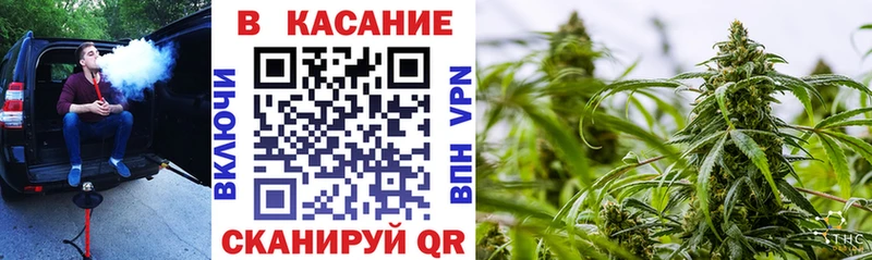 Виды наркоты Новохопёрск A PVP  Мефедрон  Каннабис 