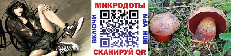 Псилоцибиновые грибы мухоморы  цены наркотик  KRAKEN зеркало  Новохопёрск 